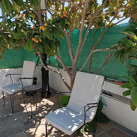 Els Rosers - Climatizado, Con Jacuzzy Xl Y Barbacoa Holiday home Rodonya